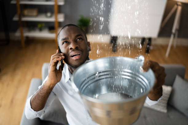 Best Carpet water damage restoration  in Minerva, OH