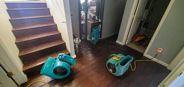 Best Professional water damage repair  in Minerva, OH