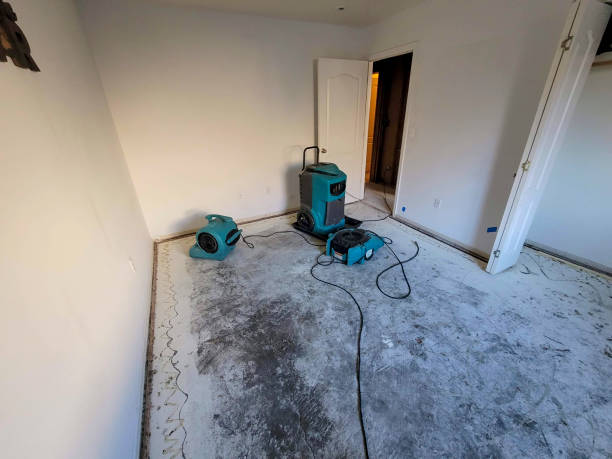 Best Carpet water damage restoration  in Minerva, OH