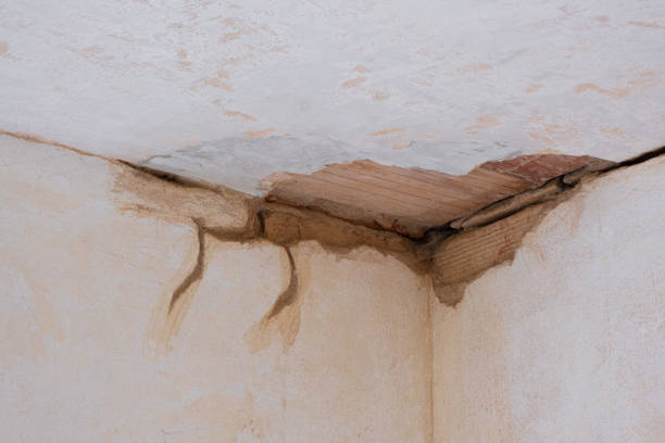 Best Fire Damage Restoration  in Minerva, OH