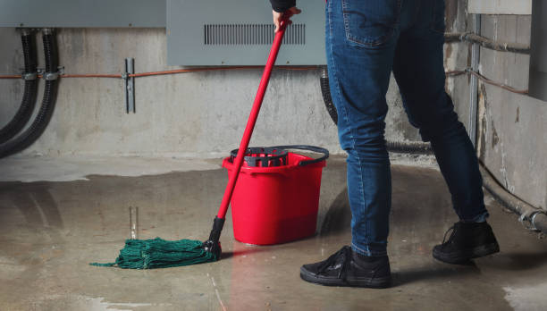 Best Emergency water damage restoration  in Minerva, OH