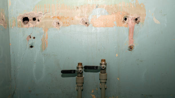 Best Local water damage restoration  in Minerva, OH