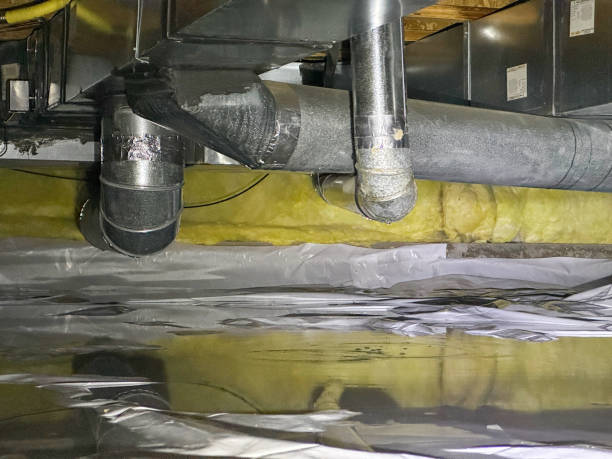 Best Sewage cleanup and water damage restoration  in Minerva, OH