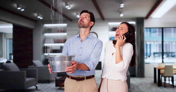 Best Ceiling water damage repair  in Minerva, OH