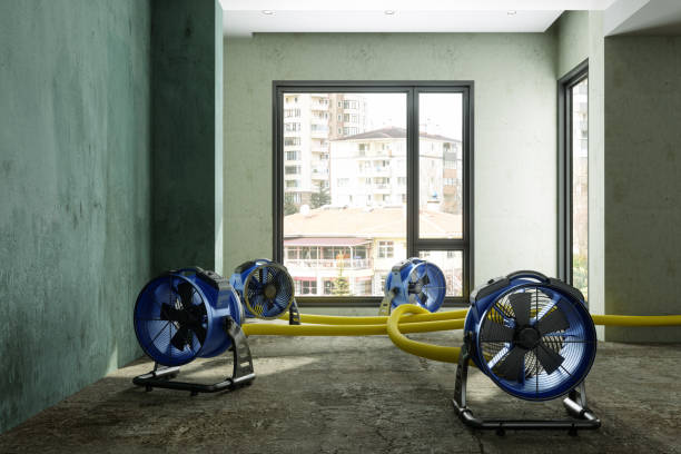 Best Water damage restoration mold remediation  in Minerva, OH