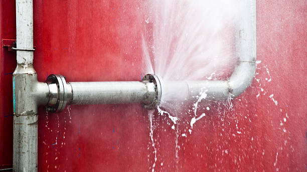  Minerva, OH Water damage restoration Pros